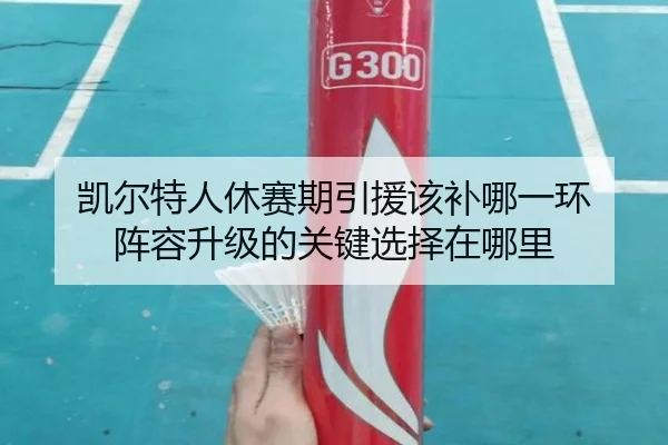 凯尔特人休赛期引援该补哪一环 阵容升级的关键选择在哪里